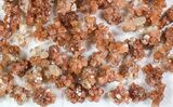 Lot: Small Twinned Aragonite Crystals - Pieces #78110-2